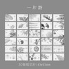 信的恋人明信片一片诗D2193 商品缩略图4