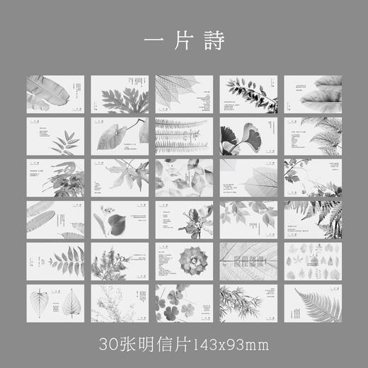 信的恋人明信片一片诗D2193 商品图4