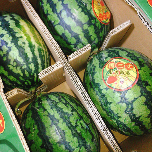 赤霞甘美4K无籽西瓜  好吃的甘美西瓜 商品图6