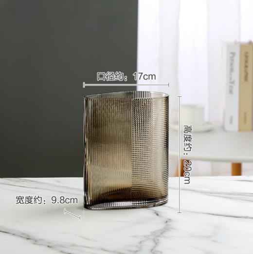 新品创意欧式轻奢玻璃花瓶--1204 商品图5