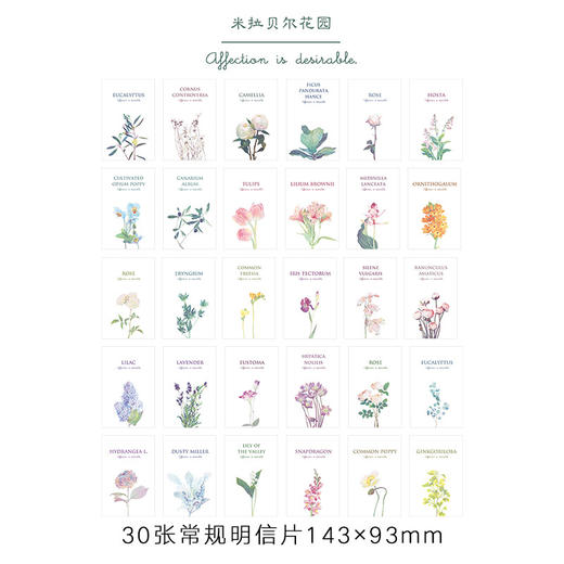 信的恋人明信片 《米拉贝尔花园》P-C2406 商品图4