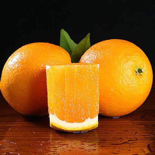 屈姑伦晚2.5kg 商品图0