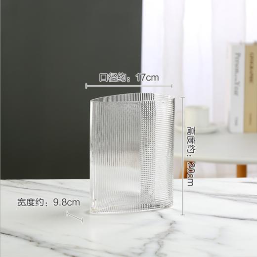 新品创意欧式轻奢玻璃花瓶--1204 商品图4