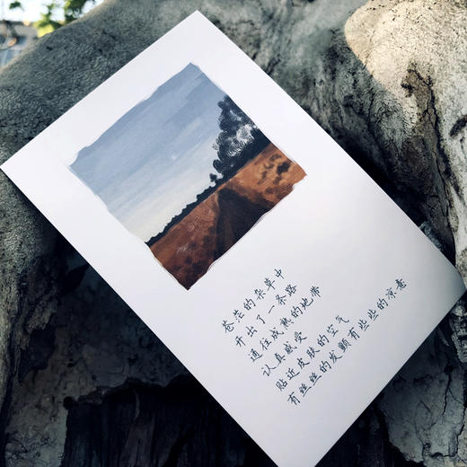 信的恋人盒装书签 商品图4