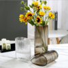 新品创意欧式轻奢玻璃花瓶--1204 商品缩略图0
