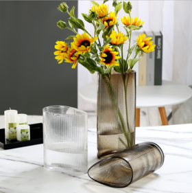 新品创意欧式轻奢玻璃花瓶--1204