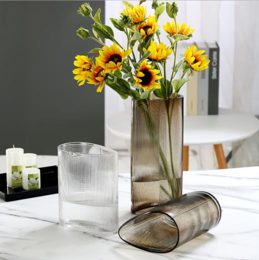 新品创意欧式轻奢玻璃花瓶--1204 商品图0