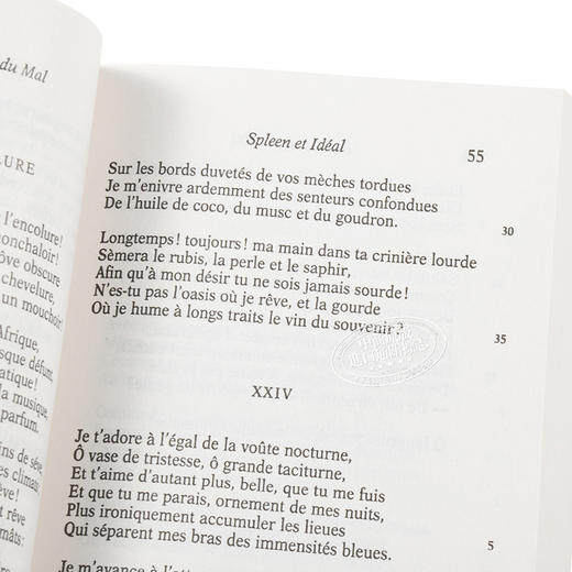 预售 【中商原版】恶之花（法文版） 法文原版 外国诗歌 Les Fleurs du Mal  波德莱尔 商品图2