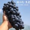 黑蜜葡萄 商品缩略图3