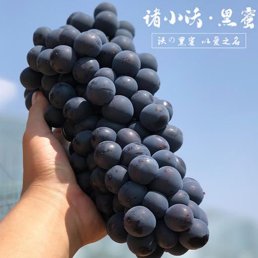 黑蜜葡萄 商品图3