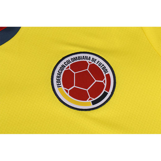 ADIDAS阿迪达斯20/21哥伦比亚主场球迷短袖男FT1475 商品图2