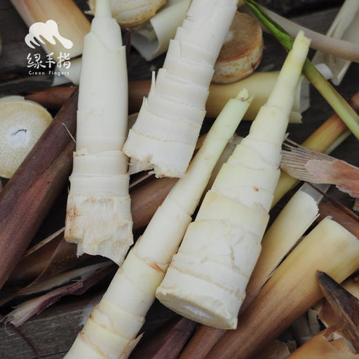 沐川野生苦笋| 合作生产 *Mu Chuan wild asparagus| Coproduction 商品图3
