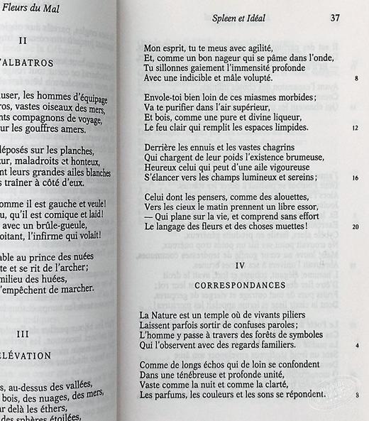 预售 【中商原版】恶之花（法文版） 法文原版 外国诗歌 Les Fleurs du Mal  波德莱尔 商品图5