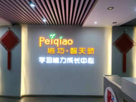 【培巧智天骄学习能力成长中心——注意力课程@朝阳】仅需99元，告别注意力不集中，高效提高孩子视觉注意力和听觉注意力。 商品图0