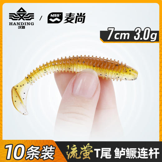 路亚t尾软虫软饵 鱼饵 商品图0