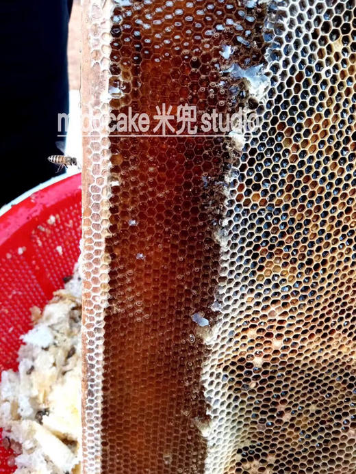 纯蜂蜜柠檬茶 商品图7