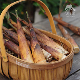 沐川野生苦笋| 合作生产 *Mu Chuan wild asparagus| Coproduction