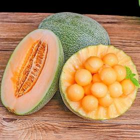 正宗海南哈密瓜 超甜  （多规格可选）