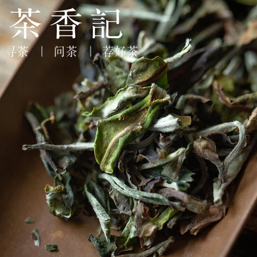 茶香记 班章老树白茶2101 班章五寨之一 坝卡囡 古树白茶 香甜细腻 层次丰富 商品图1