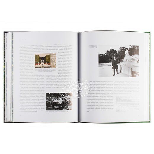 【中商原版】古斯塔夫·克里姆特：风景 英文原版 Gustav Klimt：Landscapes 商品图6