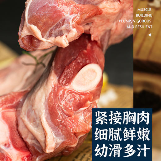 臻碧乡 贡羊前腿切断丨清炖羊肉烧烤火锅食材丨1.2kg 商品图3