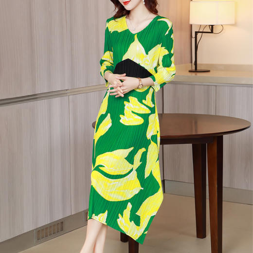 JN-L210302三宅印花一生连衣裙2021夏季新款高档女装褶皱裙 商品图3