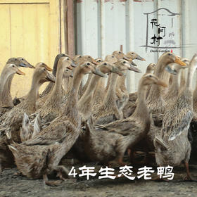 花间村散养4年全净膛老鸭