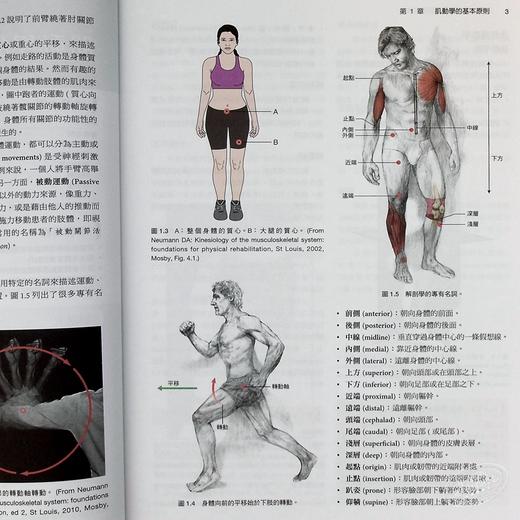 预售 【中商原版】基础肌动学 第三版 港台原版 Mansfield 爱思唯尔 物理治疗 商品图5