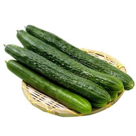 黄瓜  500g【DD】