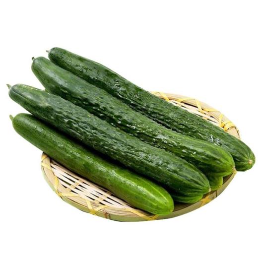 黄瓜  500g【DD】 商品图0