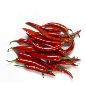 小米椒  500g【DD】