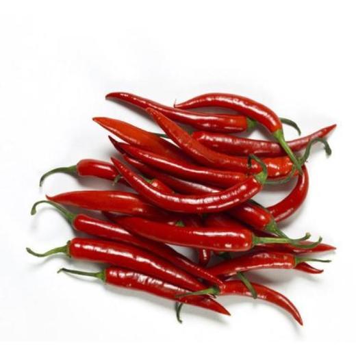 小米椒  500g【DD】 商品图0