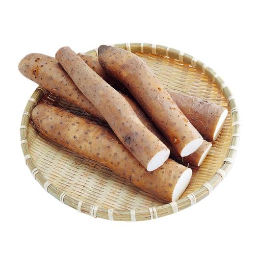 山药  500g【DD】 商品图0