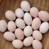 鸡蛋（50枚/箱） 商品缩略图0