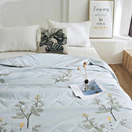 正安优选·简爱艾草纤维夏凉被 商品图0