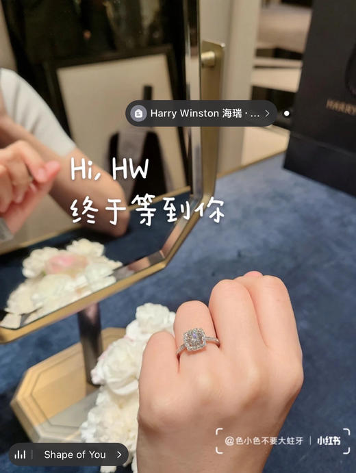 HW一克拉钻戒-belle（莫桑钻，带证书） 商品图2