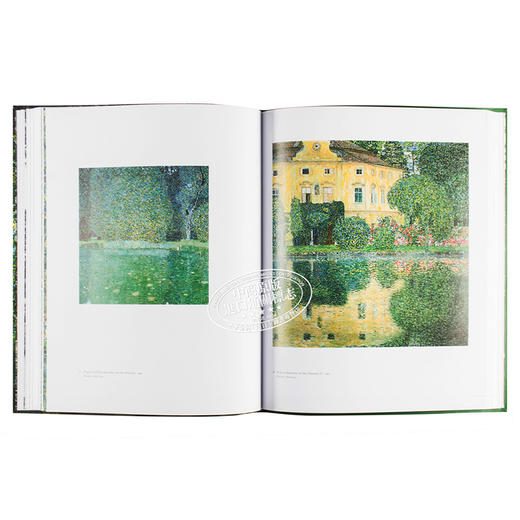 【中商原版】古斯塔夫·克里姆特：风景 英文原版 Gustav Klimt：Landscapes 商品图4