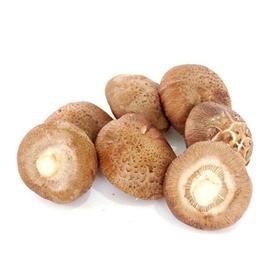 香菇  500g【DD】