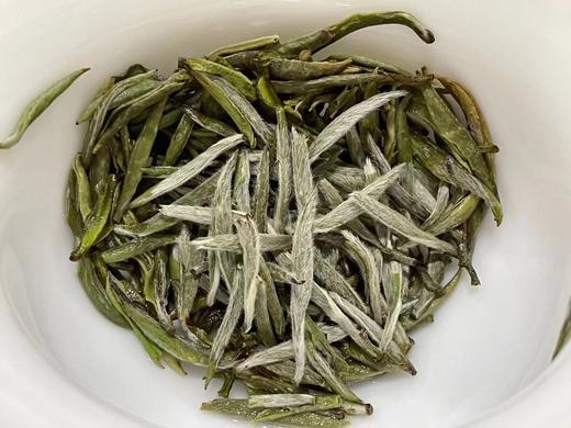 老树头采银针（2021春） 商品图3