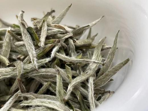 老树头采银针（2021春） 商品图2