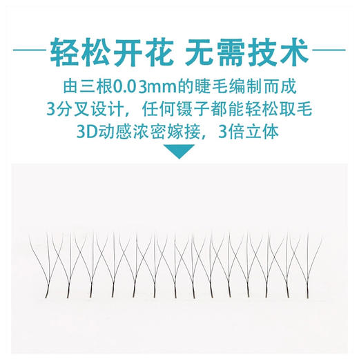 索芙娜 三叶草睫毛0.03C翘！花仙草0.05C翘  10款可选 商品图5