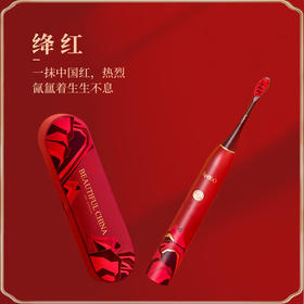 母亲节礼物！APIYOO艾优故宫联名电动牙刷女成人声波礼盒软毛全自动充电式
