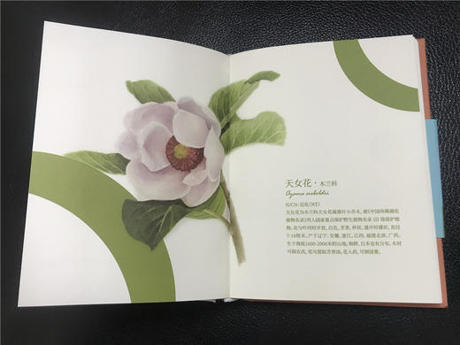 杭州植物园 珍稀濒危植物手绘笔记本系列 商品图1