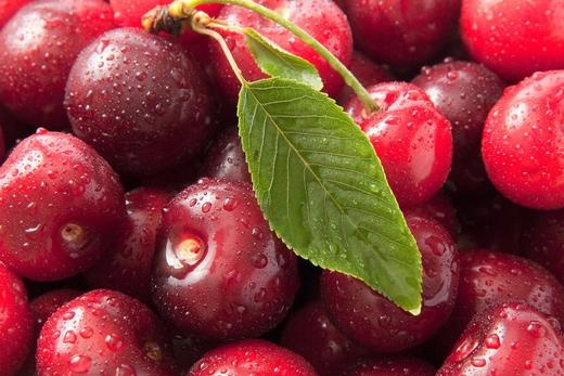 物本源有机樱桃 清甜爽甜 3斤礼盒装 商品图0