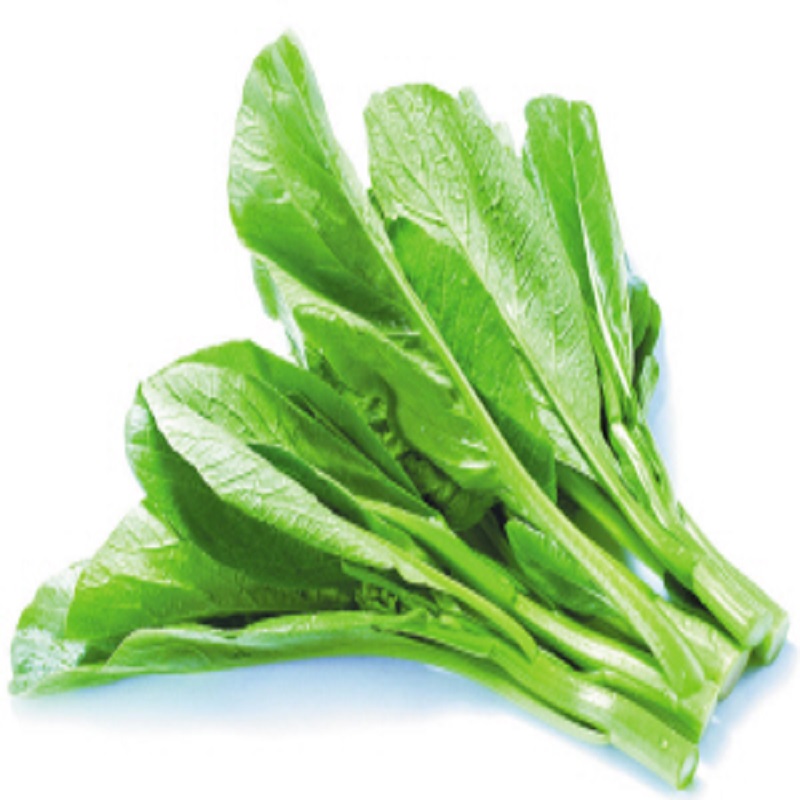 菜心(基地现摘）