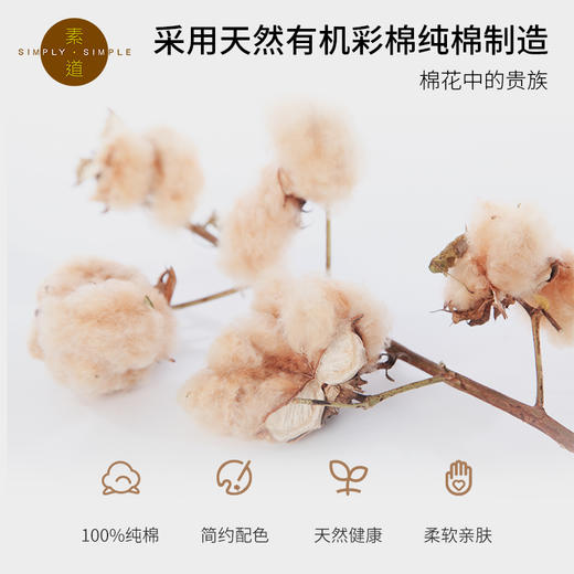 素道有机彩棉纯棉薄被 透气舒适双人午睡空调被 全棉夏季凉被 商品图2