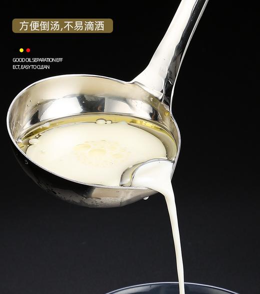 304不锈钢隔油勺   沥油滤油汤勺家用去油漏油3.77 商品图3