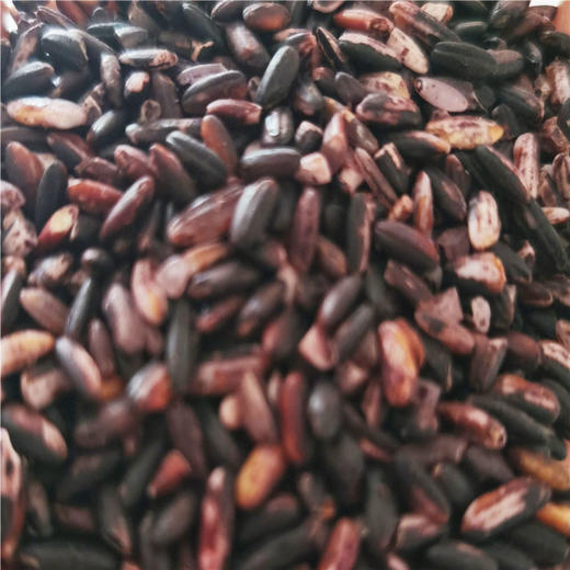 曲靖宣威 紫米 1公斤/袋 商品图1