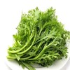茼蒿(基地现摘) 商品缩略图0