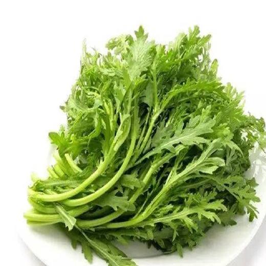 茼蒿(基地现摘) 商品图0